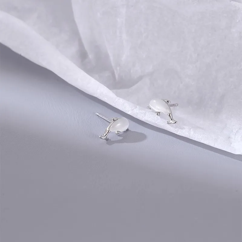 CENTURY&KINDLE S925 Silver Stud Earrings Women's-3