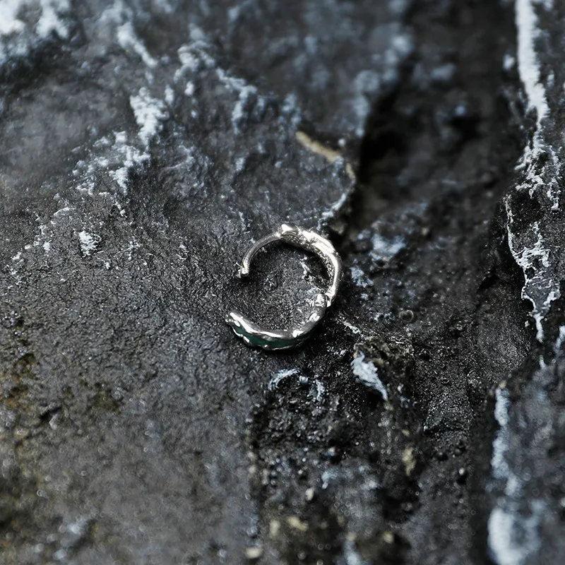 CENTURY&KINDLE S925 Silver Earrings Unisex-2