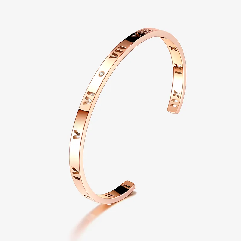 CENTURY&KINDLE 316L Titanium Steel Bangles Women's-4