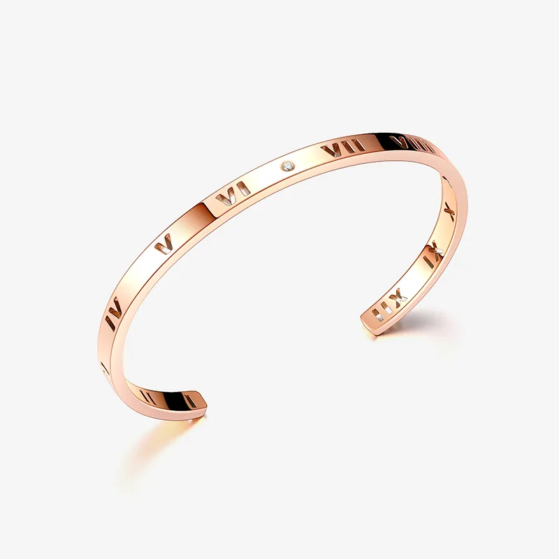 CENTURY&KINDLE 316L Titanium Steel Bangles Women's-1