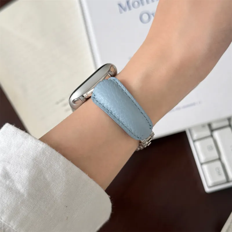 Antey Watch Band Apple Compatibility Alloy-4