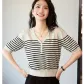 Apricot Base with Black Stripes Pattern