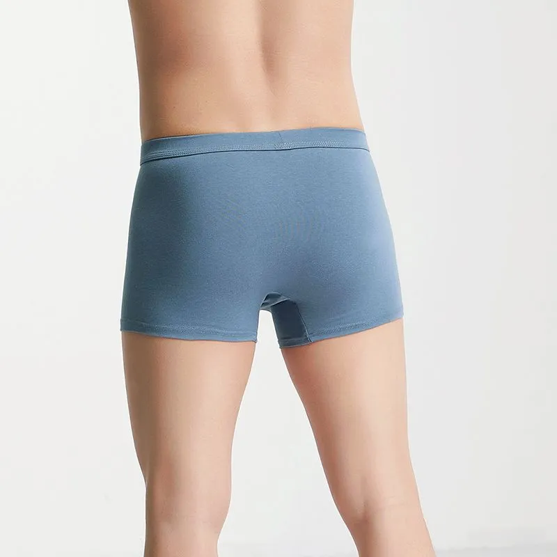 XISHE Underpants Men's Combo Set-10
