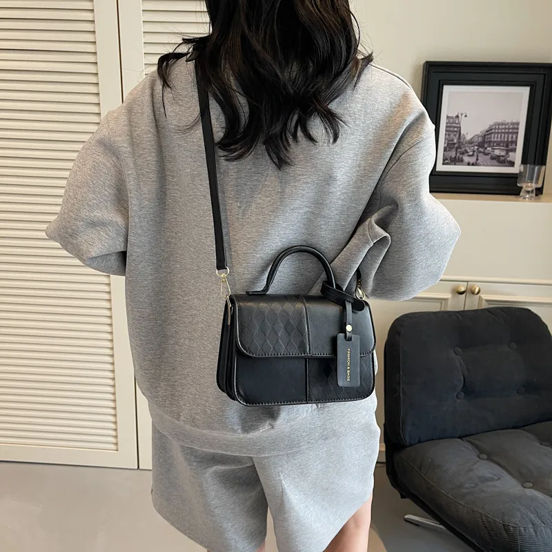 Rainbow Girl PU Shoulder Bag, Crossbody Bag, Handbag Regular Women's Silver/Black/Pink/Brown-12