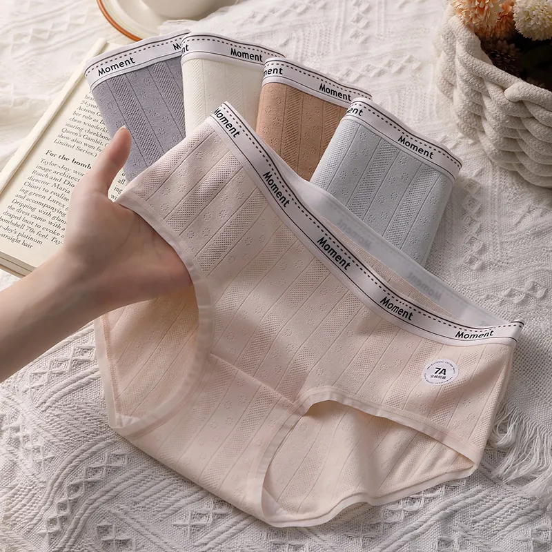 MADALLO Underpants Women's Combo Set-5