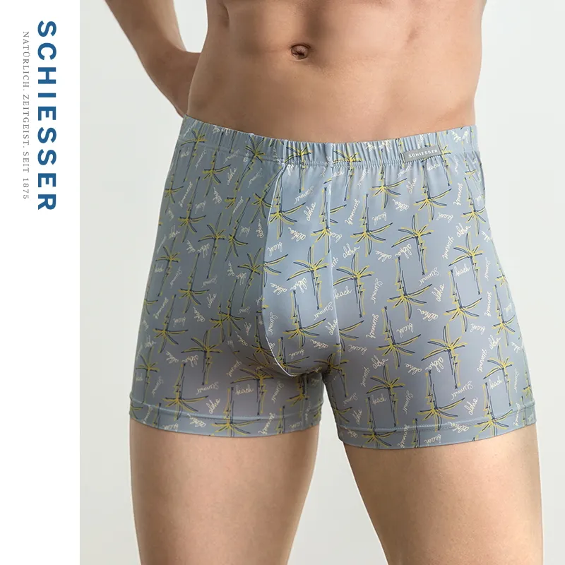 Shuya Underpants Men's 1 Pack Gray-5