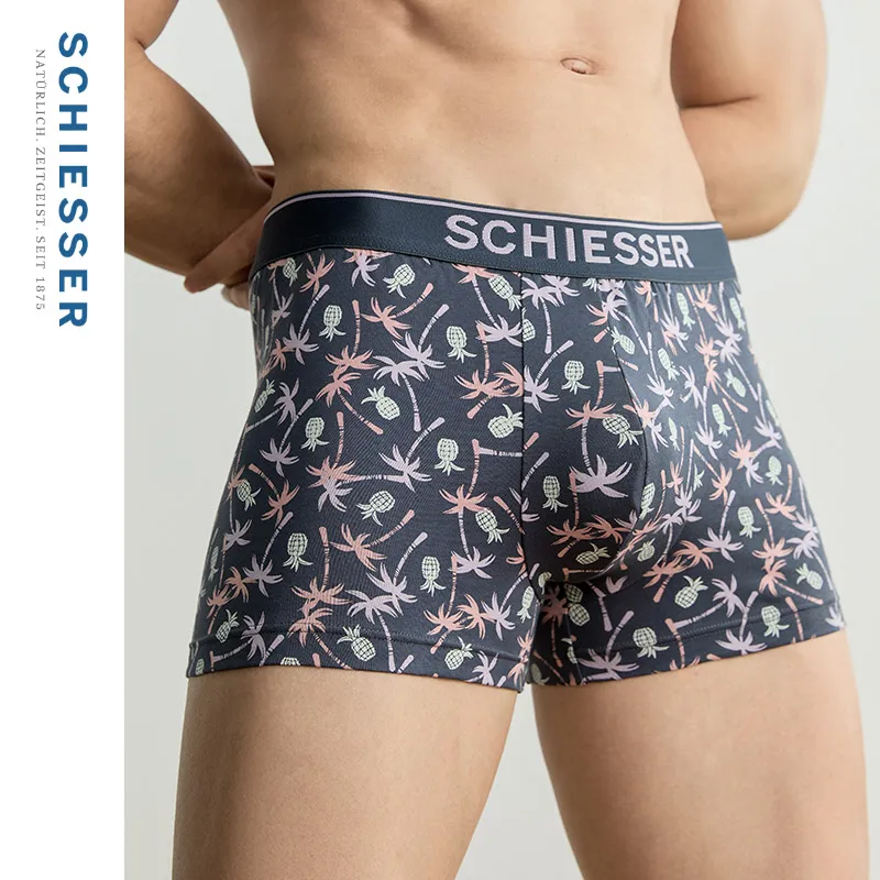 Shuya Underpants Men's 1 Pack Dark Gray-1