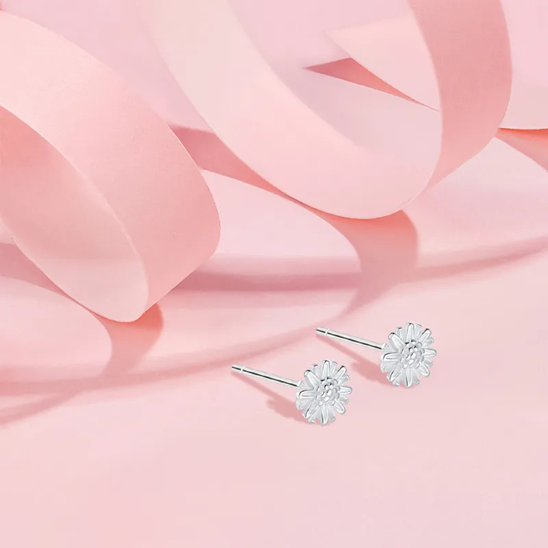 KUMET Sterling Silver Stud Earrings Women's Anniversary For Couples-3