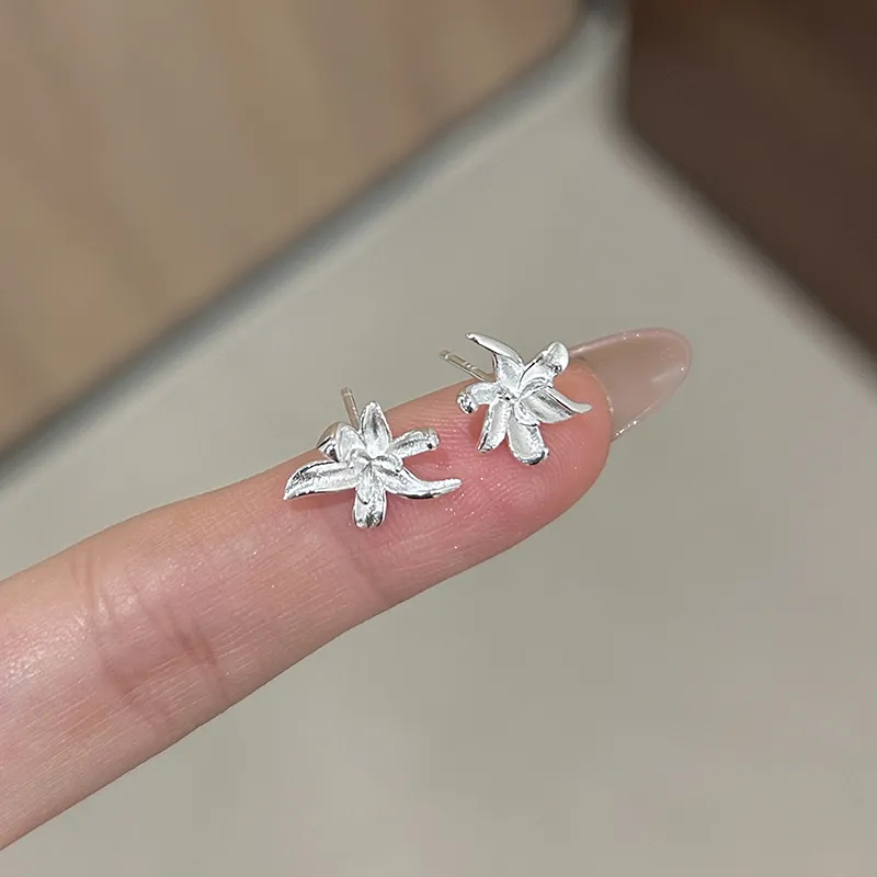 Silver 925 Sterling Silver Stud Earrings Women's-3