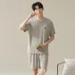 206-Short-Sleeved Shirt-Gray Coffee
