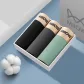 Dark Gray, Light Gray, Light Green