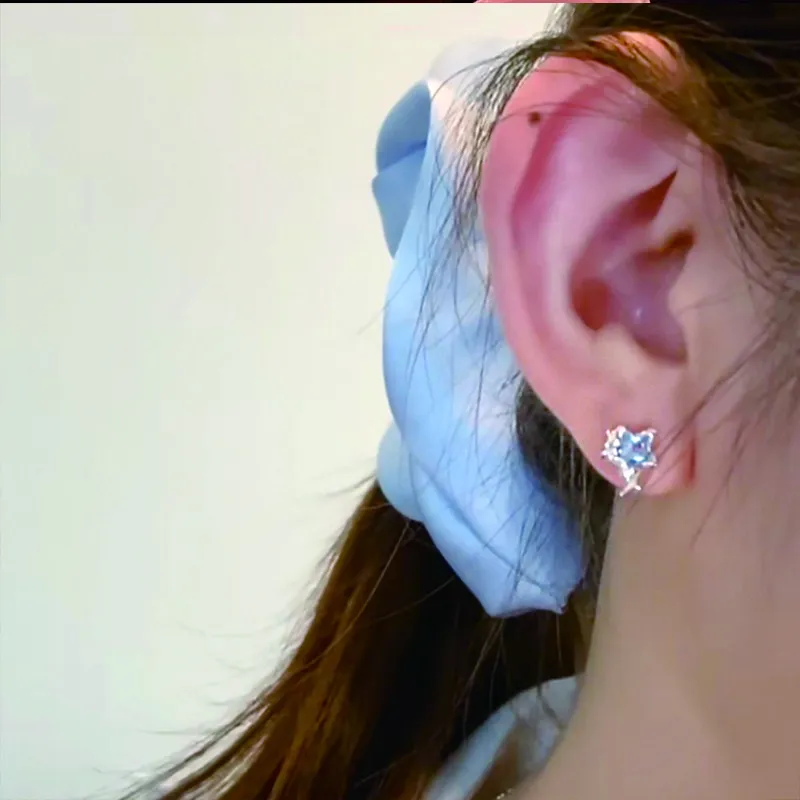 FUJA Alloy Stud Earrings Unisex-1
