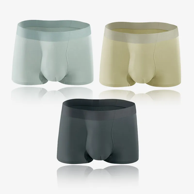 GAINREEL Underpants Men's 1 Pack-1