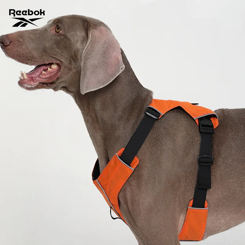 Reebok Leashes-5