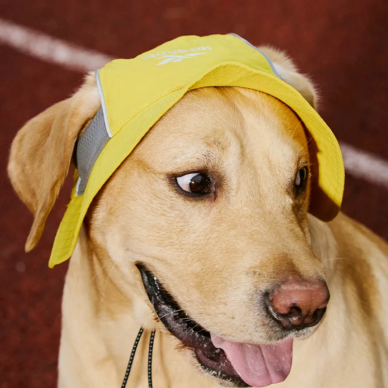 Reebok Pet Costume Puppy Bucket Hat-2