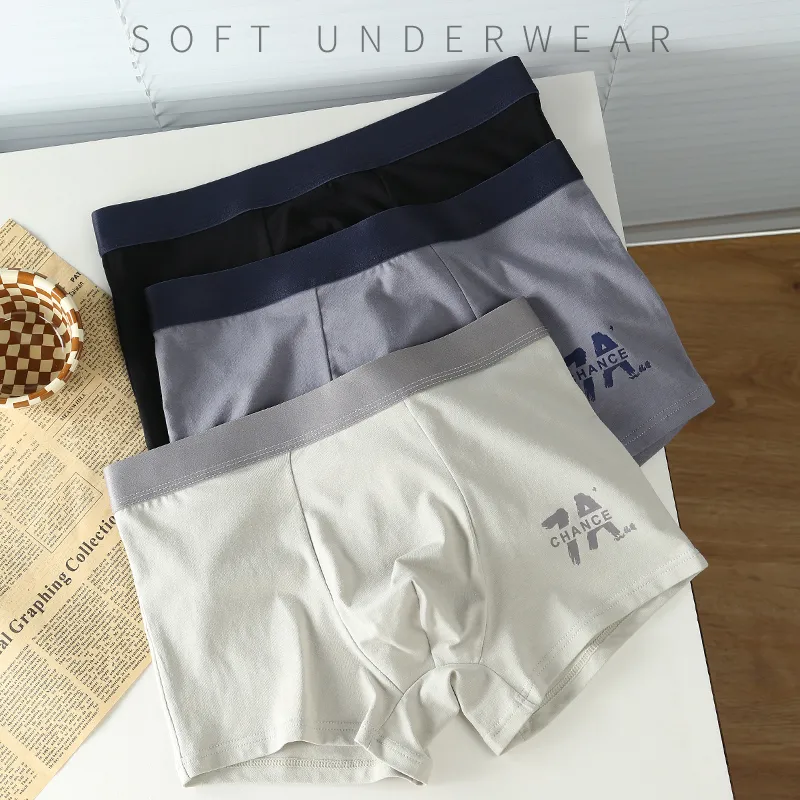 Lan Miao Underpants Men's 4 Pack-8