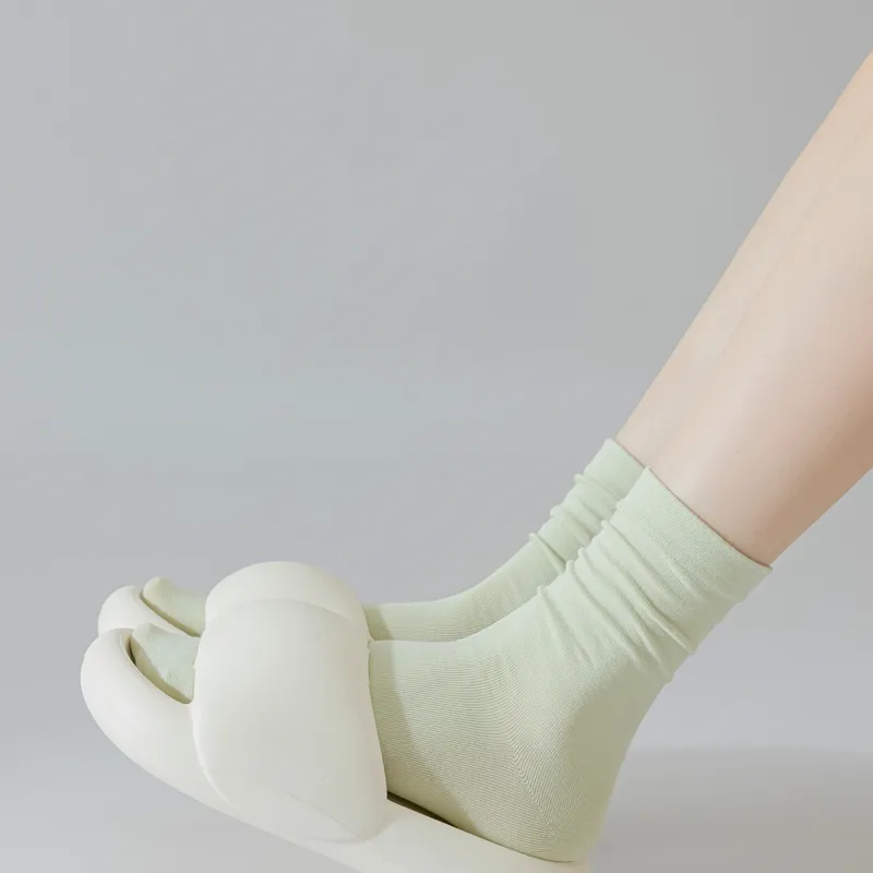 Master Mid Calf Socks Women's Box 5 Pack-21