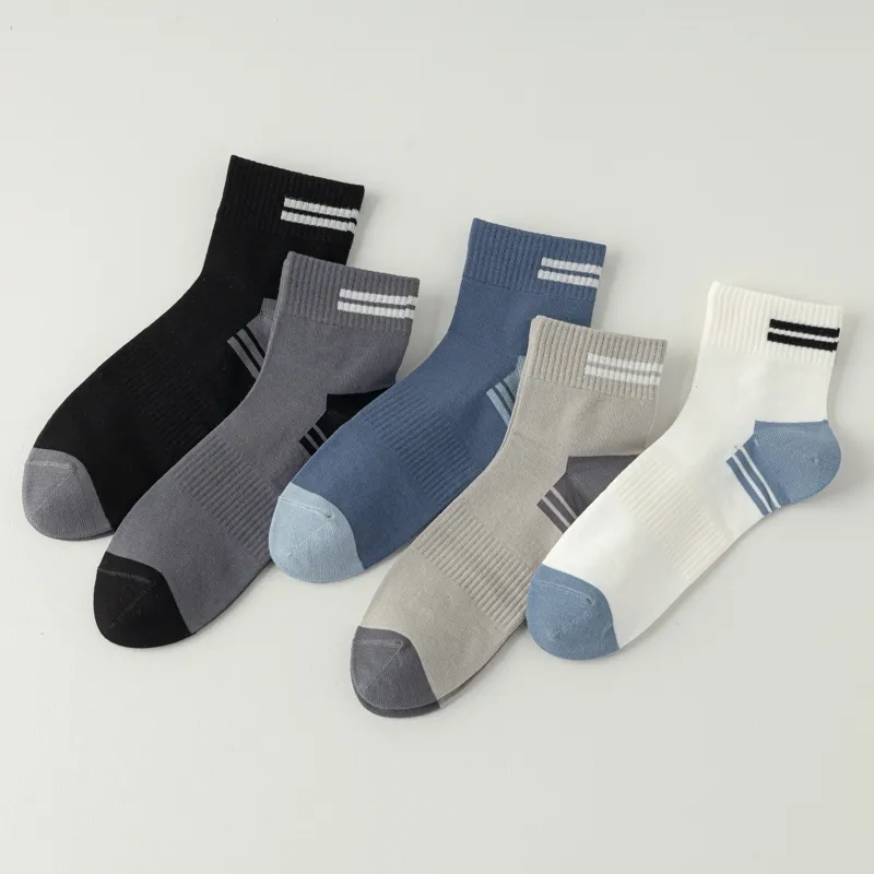 Master Mid Calf Socks Men's Box 5 Pack-6