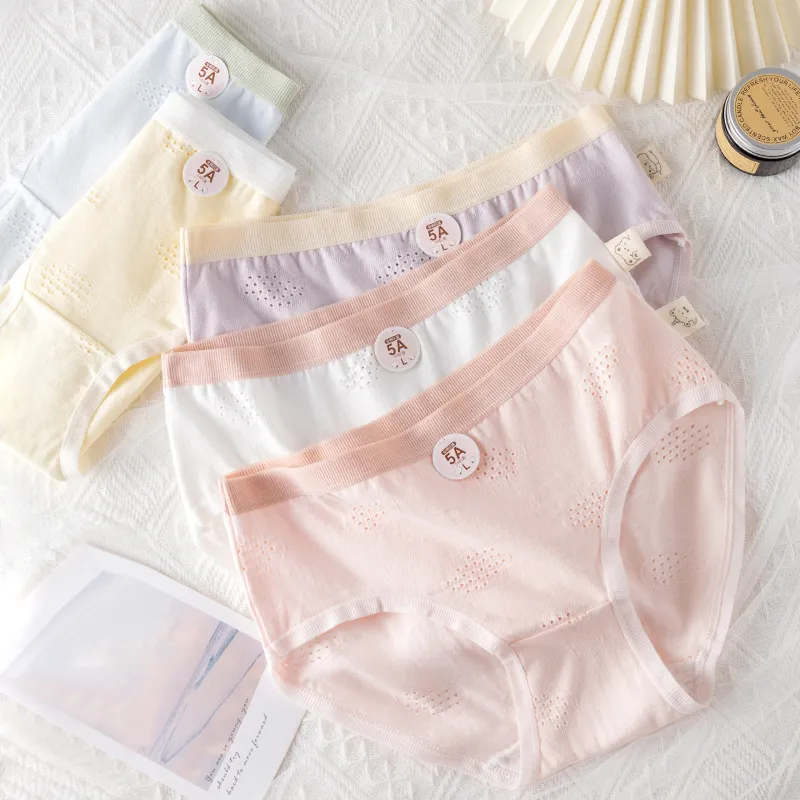 Cotton Gene Underpants Women's 4 Pack-29