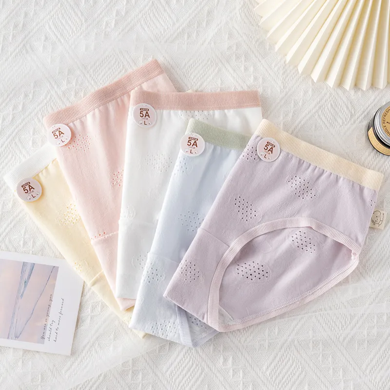Cotton Gene Underpants Women's 4 Pack-31