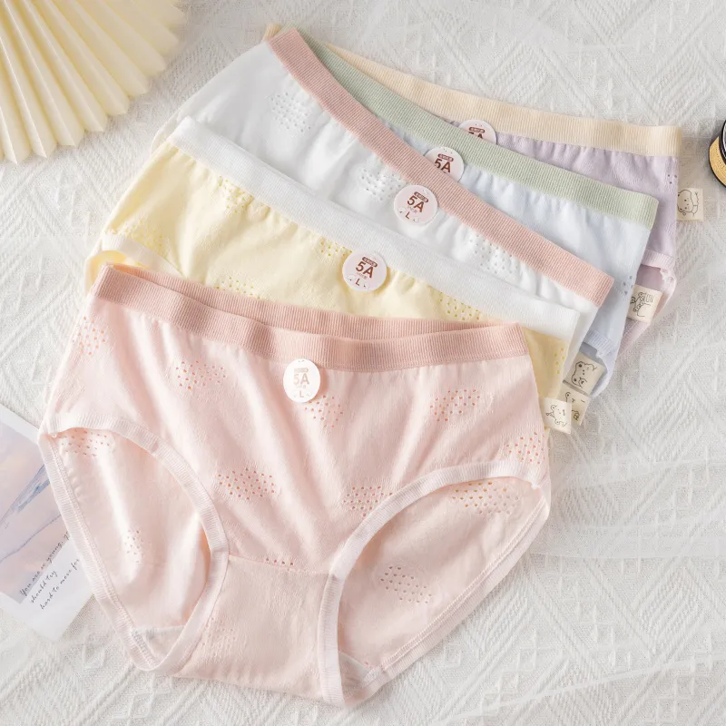 Cotton Gene Underpants Women's 4 Pack-28