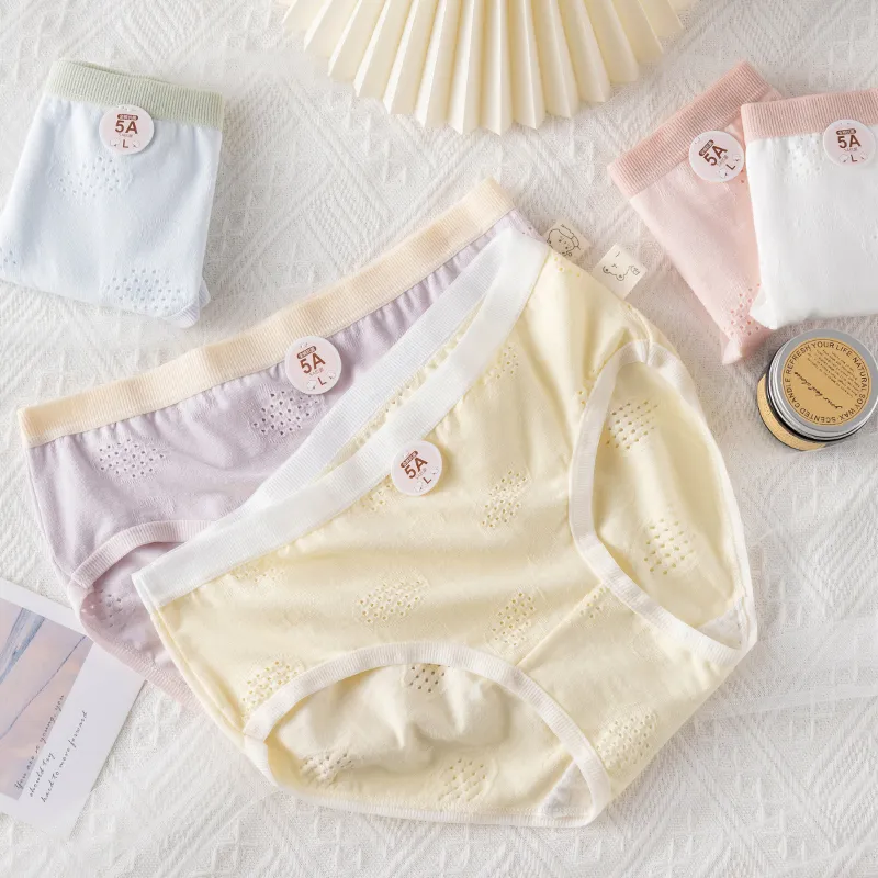 Cotton Gene Underpants Women's 4 Pack-30