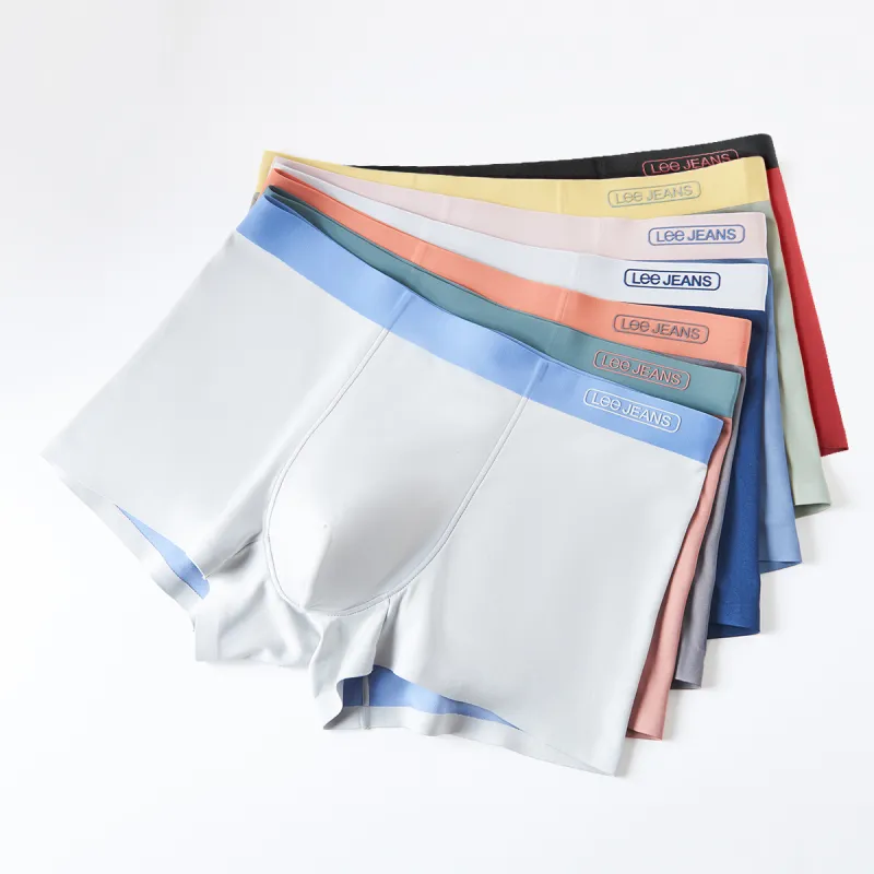 Lee Men Underpants-3