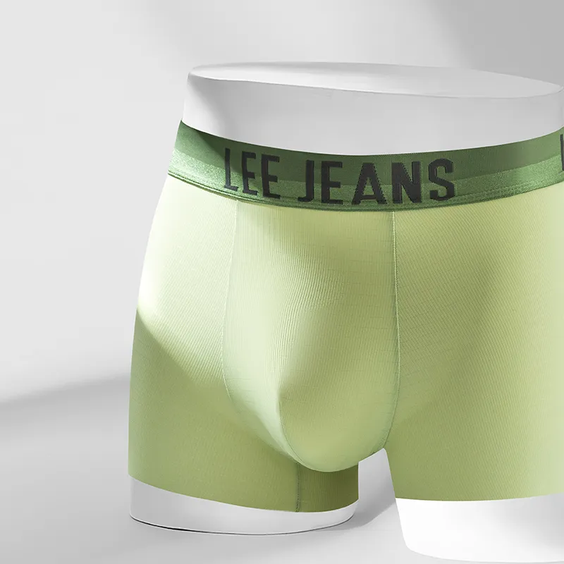 Lee Men Underpants-1