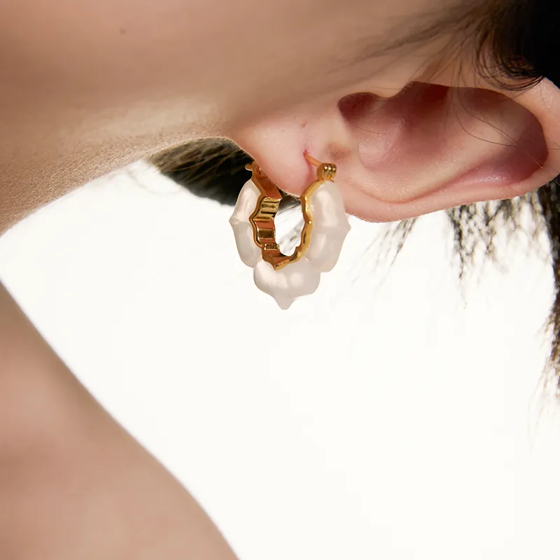 Bi disc 192 Silver Earrings Unisex-4