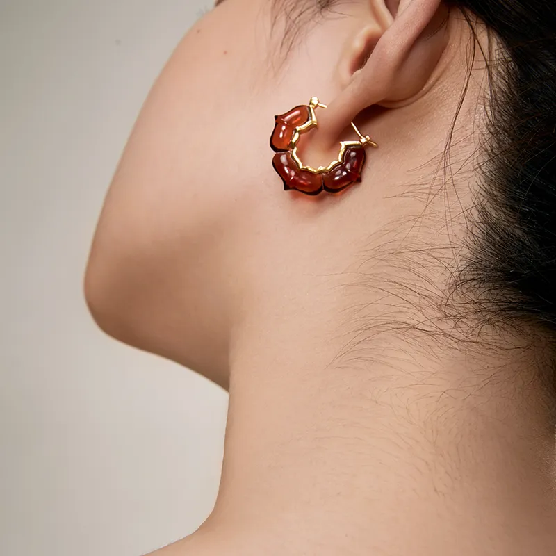 Bi disc 192 Silver Earrings Unisex-1