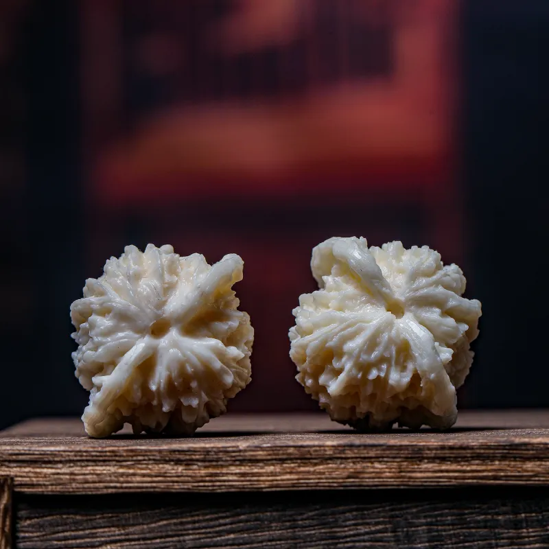 XUWU Ivory Nut Handlebar Piece Unisex-4