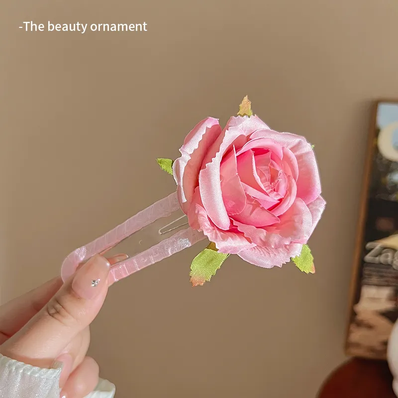 Danqin Resin Hair Clips Women's-5