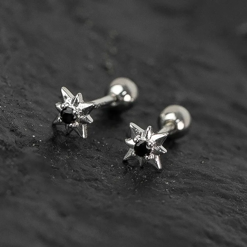 Danqin Silver Plated Stud Earrings Unisex-2