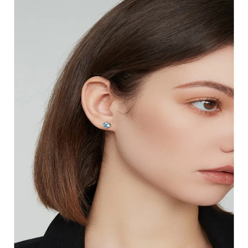 Danqin Titanium Steel Stud Earrings Unisex-12