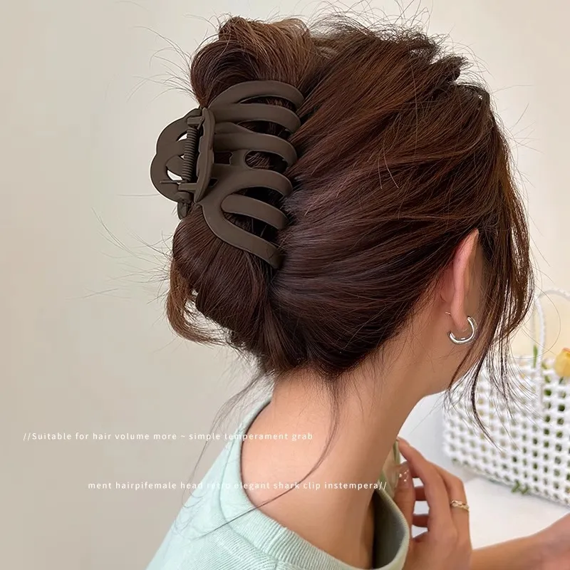 Danqin Acrylic Hair Clips Women's-2