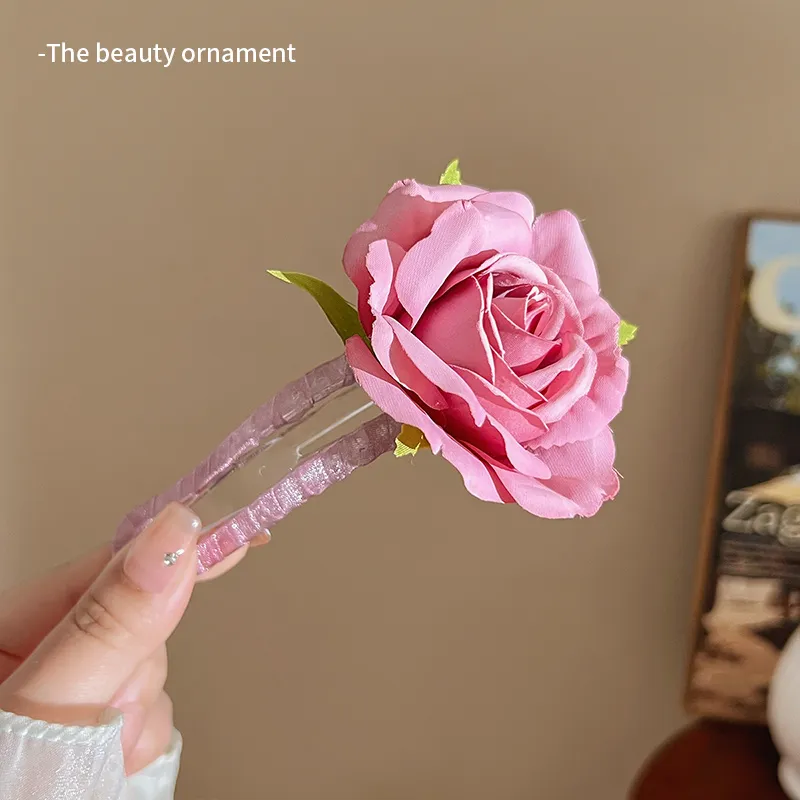 Danqin Resin Hair Clips Women's-4