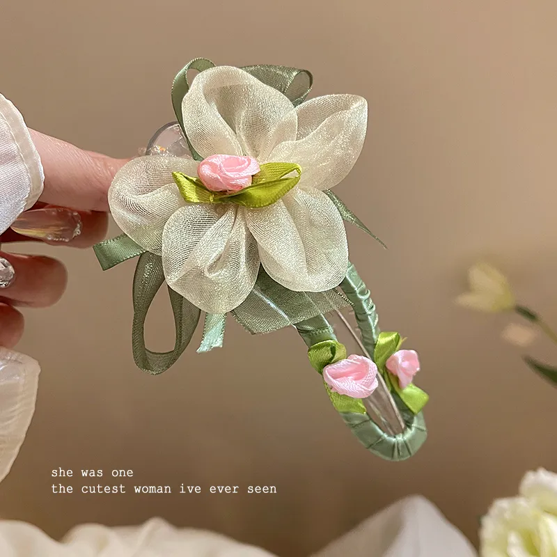 Danqin Acrylic Hair Clips Women's-4