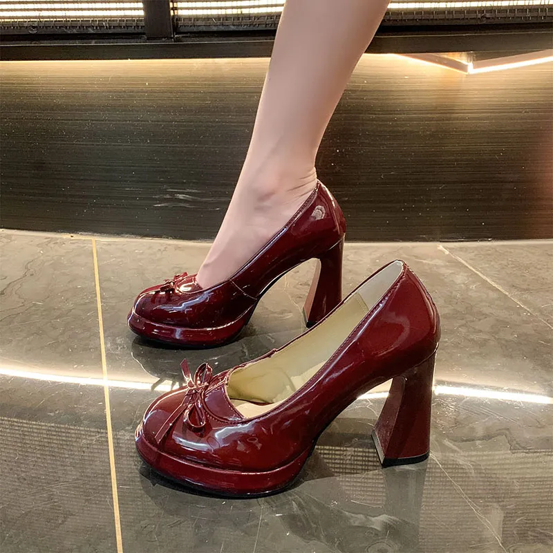 Alxnan Chunky Heel High Heels Women's-6