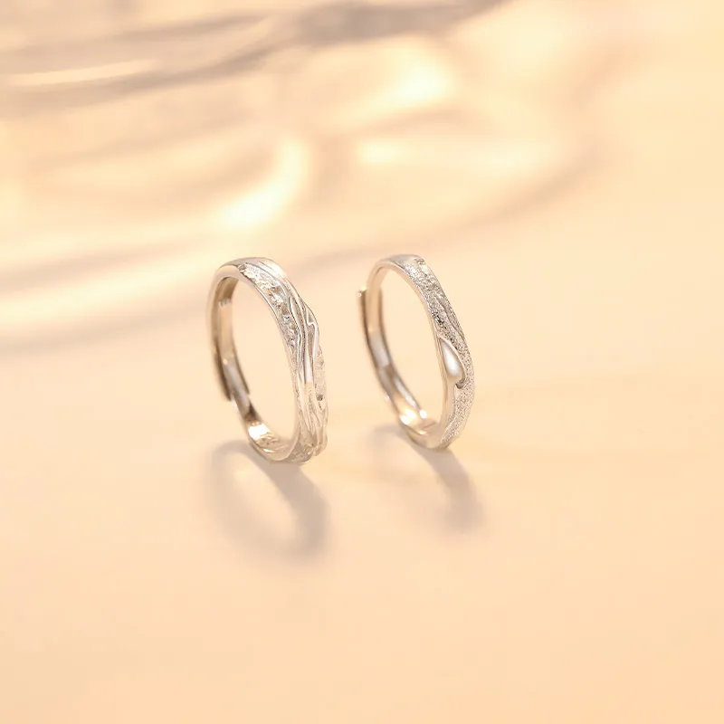 Treasure Love S925 Silver Rings Unisex-1