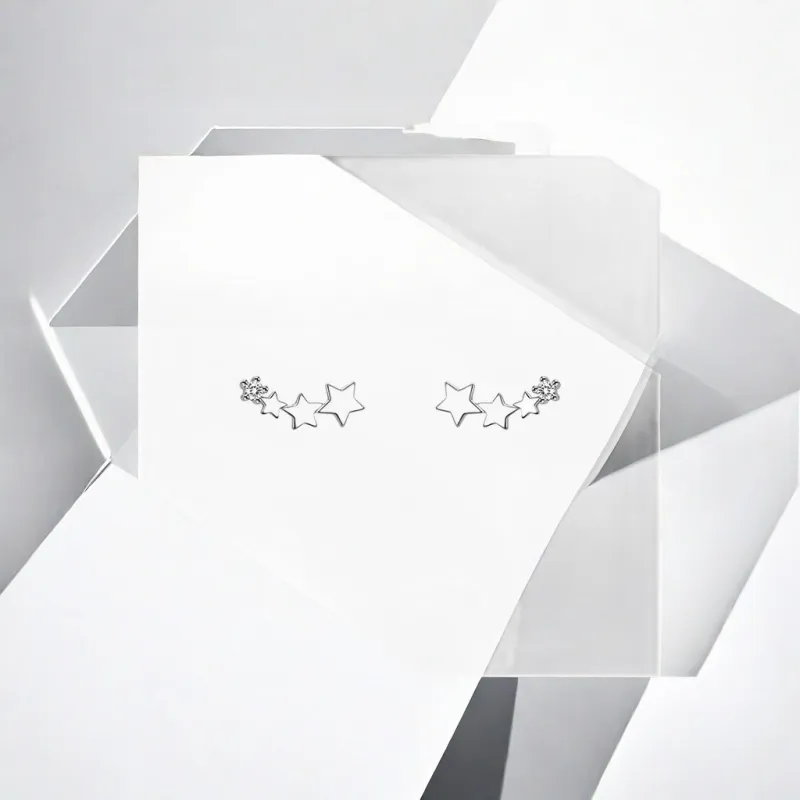 Mr. Shang S925 Silver With Zircon Stud Earrings Unisex-7