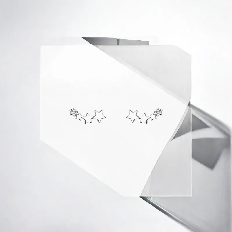 Mr. Shang S925 Silver With Zircon Stud Earrings Unisex-8