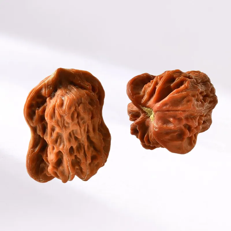 Blooming Petals Peach Pit Collectible Unisex-4