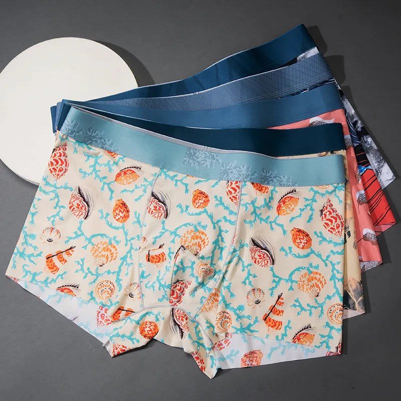 PLANDOO Underpants Men's 5 Pack-6
