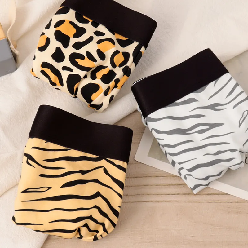 Sicily Men Underpants-6