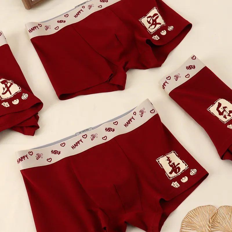 Sicily Men Underpants-3