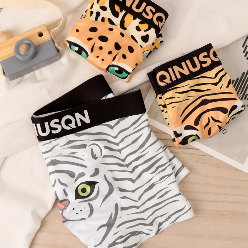 Sicily Men Underpants-5