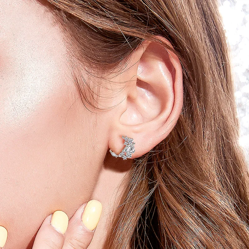 PRP S925 Silver Stud Earrings Women's-4