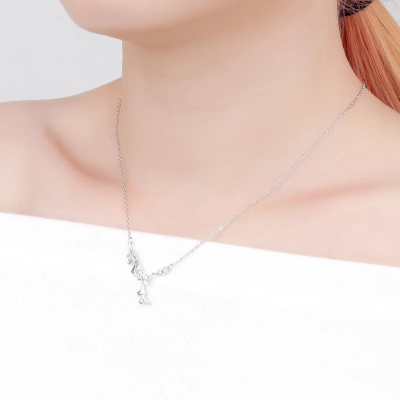 PRP S999 Fine Silver Necklaces Women's-2