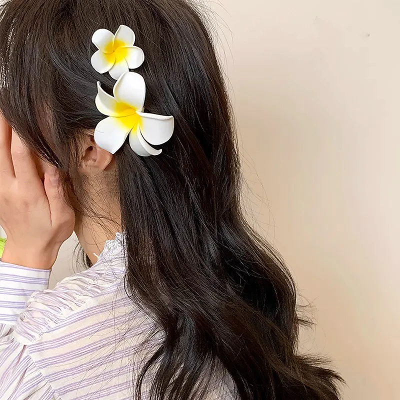 JianKai Hair Clips Women's-2