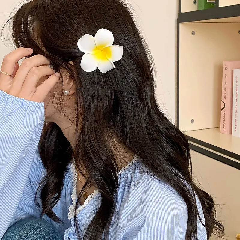 JianKai Hair Clips Women's-1